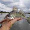 Рыбалка с гидом, www.oka-serpukhov.ru